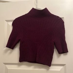 Free people, cropped turtleneck sweater, stretches, plum color